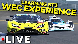 Finally Trying Gt3 In Split 1 Stacked Field - Wec Experience Gt3 Newbieeeee