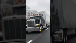 SHAVE AND A HAIRCUT! Quad Horn 389 #trucking #truckhorn #peterbilt #airhorn