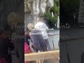 Place ou priait Sainte Bernadette de Lourdes 11 fevrier 1858 24 mai 2026