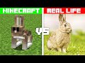Minecraft VS Real Life Part 7
