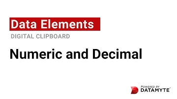 Data Elements Series | Numeric & Decimal