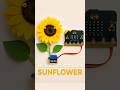 How to Build a Micro:bit Controlled Sunflower | STEM Project for Kids | RoboticSchools