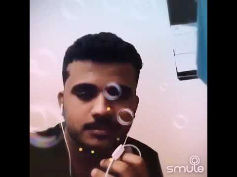 Fazy manika