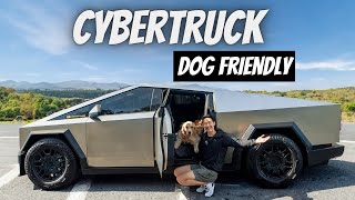 Making Your Tesla Cybertruck Dog-proof! by Everyday Chris 4,712 views 1 month ago 10 minutes, 58 seconds