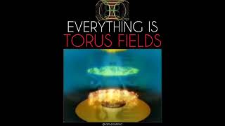 Torus Toroid Flat Earth Magnetic field Secret Truth 🧲 👏 😍