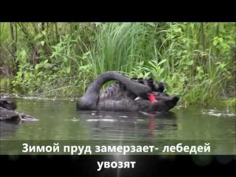 Зеленоград- город для людей?