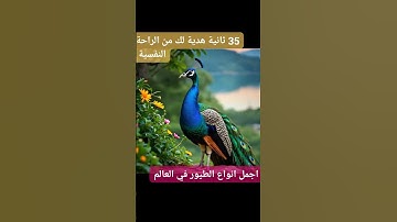 القران الكريم 35 ثانية راحة نفسية هدية لك عزيزي تلاوة خاشعة#تلاوة #quran #القرآن_الكريم #سورة #islam