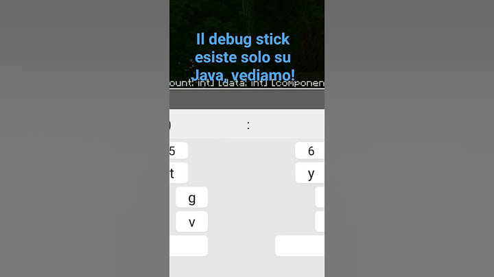 A quanto pare, il debug stick esiste solo su Java , vediamo! |Miti e bug