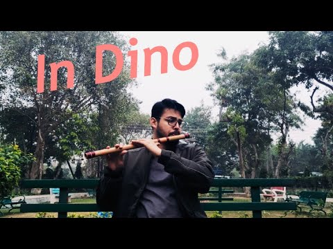 In Dino  life in a metro  flute cover 
