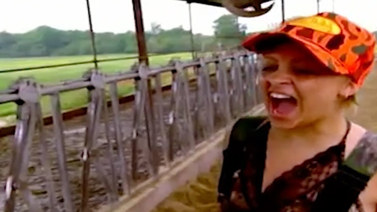 VFILES + Juicy Couture Printed Bomber | VFILES SHOP