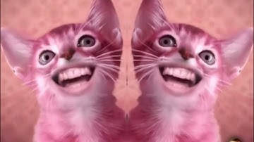 Preview 2 Numa Cat Extended Effects (Preview 2 Misha Fortnite Extended With 7 Random Effects)