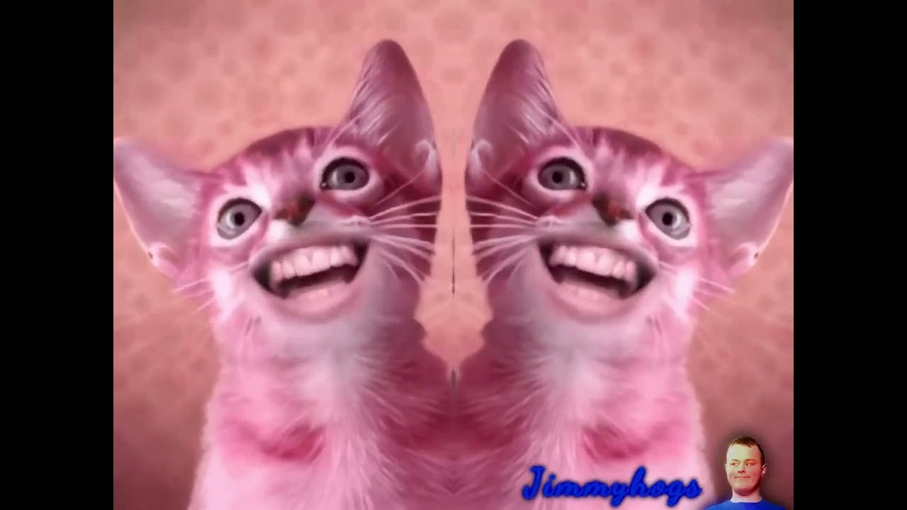 Preview 2 Numa Cat Extended Effects (Preview 2 Misha Fortnite Extended With 7 Random Effects)