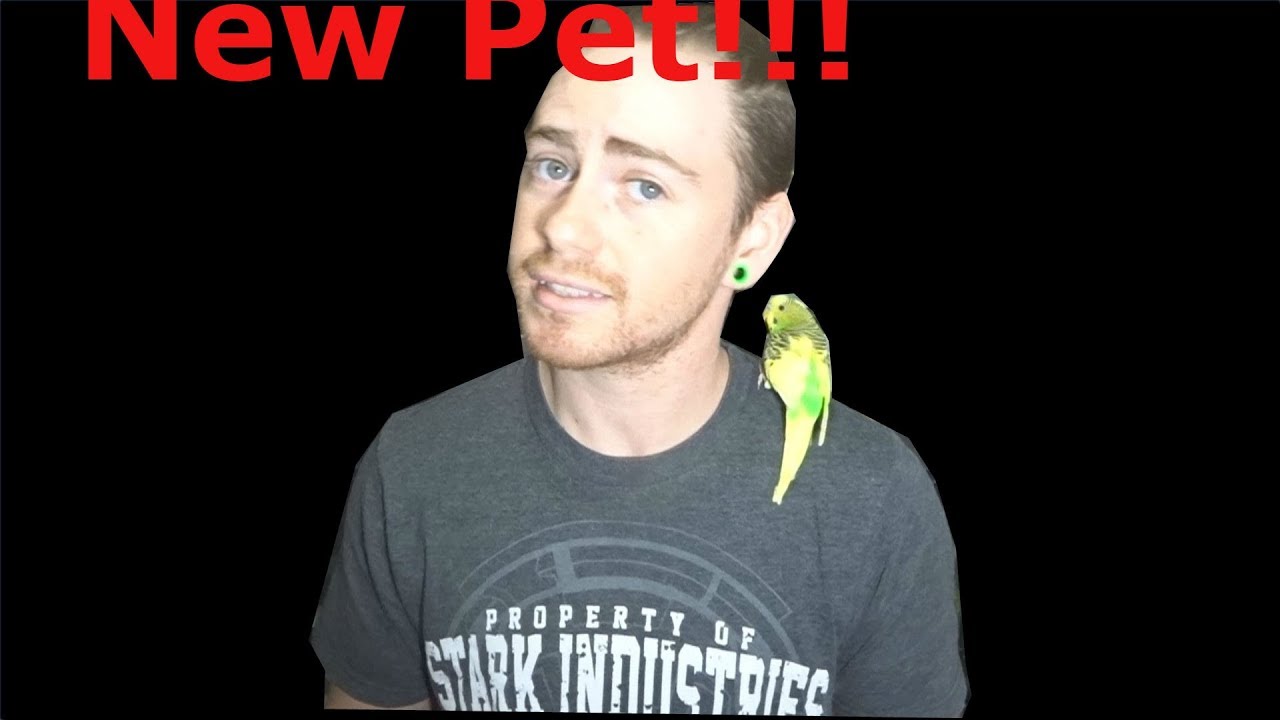 petco hours New Pet (Repticon//2018)