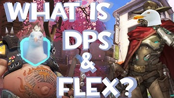 A_Seagull explains DPS, FLEX and HIS role in LG