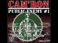 Cam'Ron - What You Know