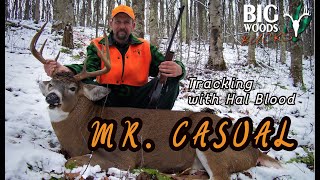 Mr. Casual | Tracking with Hal Blood