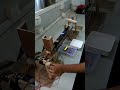 Automated Electrical Engineering Diploma Project Processing