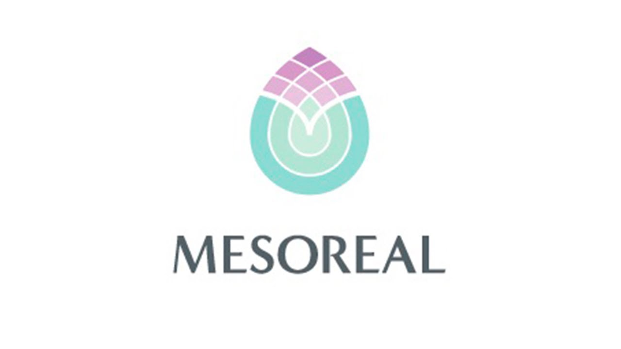 Мезореал. Mesoreal логотип. Мезореал Мещанская.