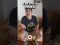 Flaco Pailos - Shorts - Chiste en la Casa 5