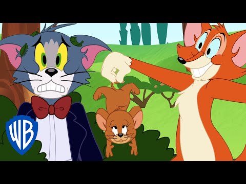 Video: Tom e Jerry finiscono?