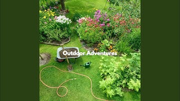 Scintillating Backdrops for Thoughtful Vibes