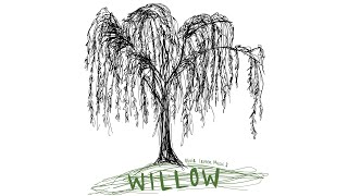Willow Taylor Swift Cover