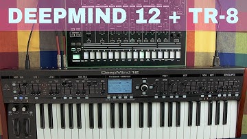 BEHRINGER DEEPMIND 12 + ROLAND TR-8 ~ Will They Pair? Ep.07