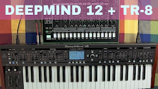 BEHRINGER DEEPMIND 12 + ROLAND TR-8 ~ Will They Pair? Ep.07