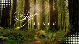 Soft Launch screenshot 5