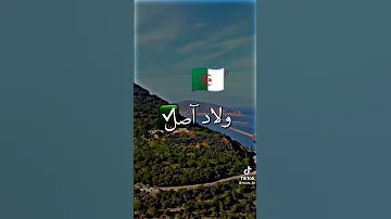 يا مروكي برونشي معايا 