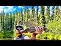 Fishing for HUGE Alaskan Arctic Grayling