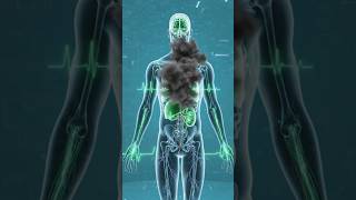 Why Modern Lifestyle Causes Cancer | Smoking, Stress, Poor Sleep & Diet Explained in 3D Anatomy