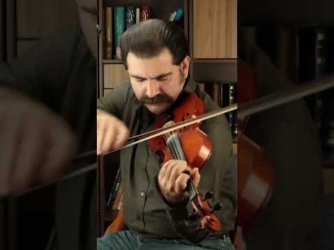 ضربی افشاری