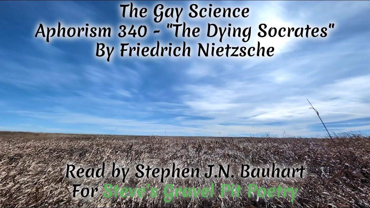 Philosophy - Aphorism 340 of "The Gay Science" by Friedrich Nietzsche, read by Stephen J.N. Bauhart