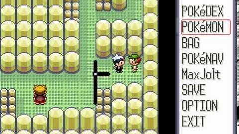 Pokémon Ruby Playthrough Ep. 28 - Gym #6