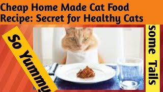 Low Cost High Quality Home Made Wet Cat Food Recipe | Secret For Happy, Healthy Cats_ Vetapproved