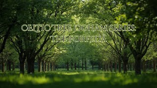 Celtic Tree Ogham Series: The Forfeda