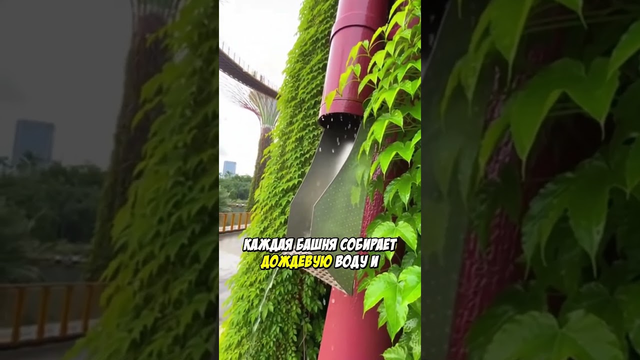 Супердеревья Сингапура: Парк Будущего!