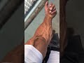 Forearm Veins Going Insane 💀 | Biceps Pump | #Shorts