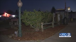 VIDEO: Vandals target Christmas lights in Carnation