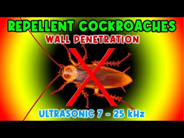 ANTI COCKROACHES REPELLENT SOUND ⛔🕷 KEEP COCKROACHES AWAY - ULTRASONIC SOUND class=