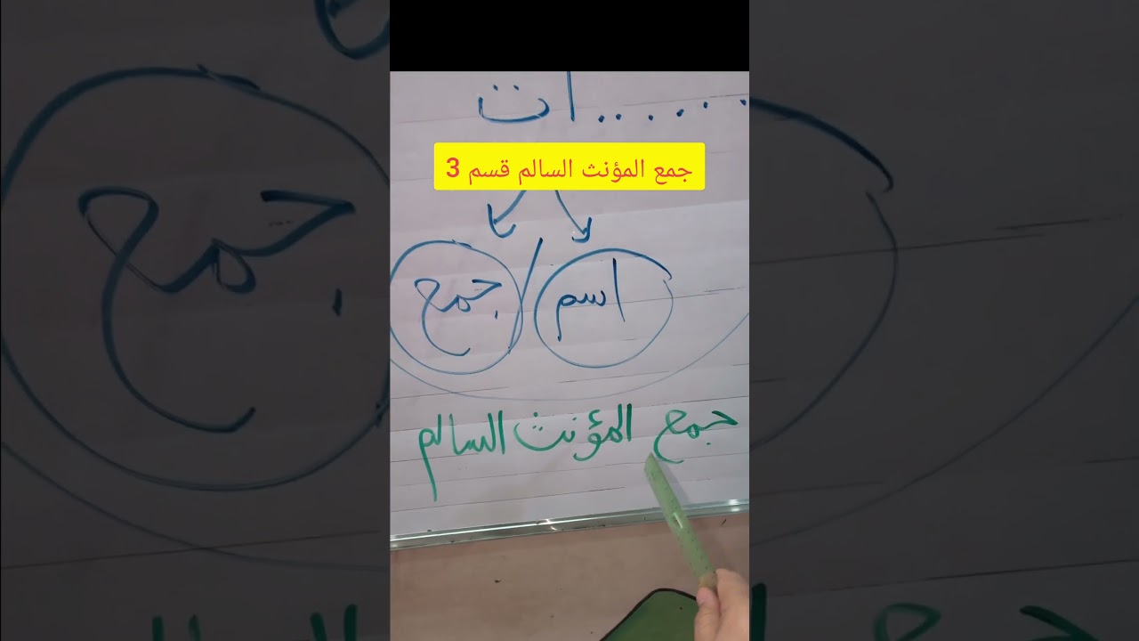 جمع المؤنث السالم قسم 3