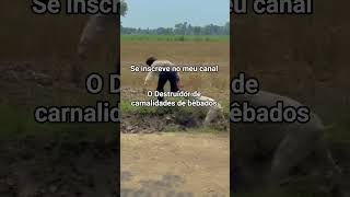 Chama a fera que resolve.