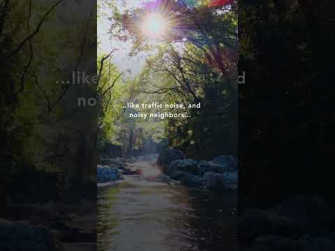 Sleep Sound Noise Generator | Fall Asleep with Green Noise (White Noise Variation) 10 Hours