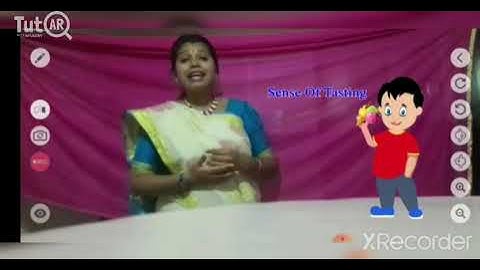 5 Senses of Human Being - Biology | Super TutAR | TutAR | Next Reality Classroom