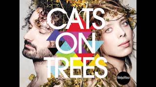 Cats on trees - Please Please Please