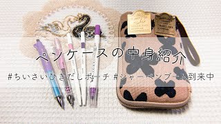 【声有り】普段使いのペンケースの中身を紹介します【ひきだしポーチ】