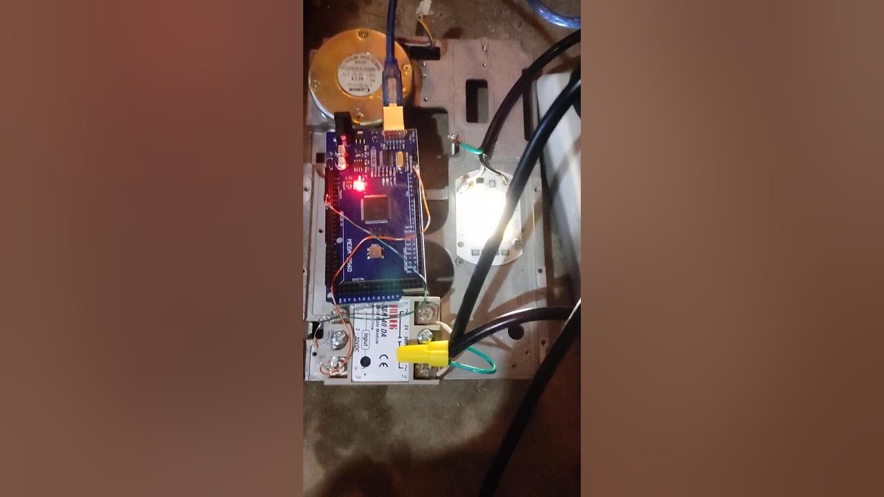 Randomly flashing 50W 110V LED Strobe Light Opossum, Squirrel, and
