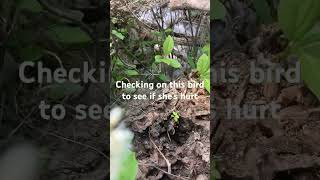 Help nature!!! It help us !!!