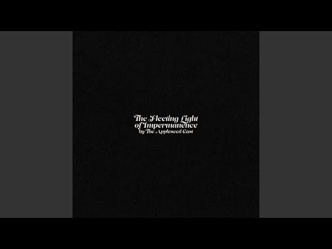 Asking The Fire For Medicine Video